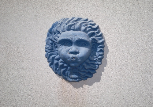 Guarda tutte le foto